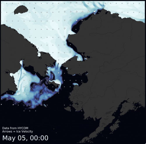 Visit the SIWO Facebook page @seaiceforwalrus to view this animation.