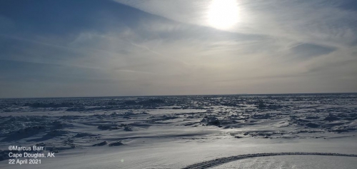 Sea ice and weather conditions at Cape Douglas - view 1.