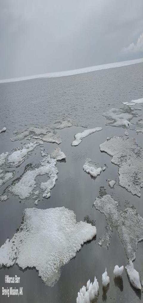Sea ice and weather conditions in Brevig Mission - view 1.