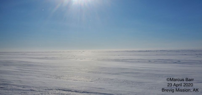 Nearshore ice conditions near Brevig Mission - view 1.