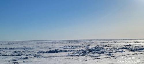 Weather and sea ice conditions in Cape Douglas - view 2.