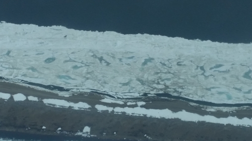 Image 3: 7 May 2015 - Near Nome, the ice breaking off at Topkok; rotten shorefast ice.