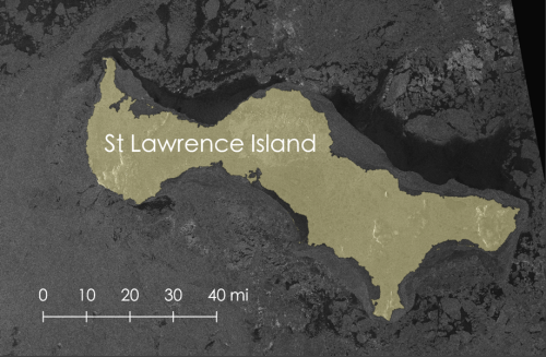 Figure 5. Sea ice around St Lawrence Island on 2 April 2020 observed using SAR satellite imagery. (Source: Sentinel-1 imagery obtained from the Alaska Satellite Facility)