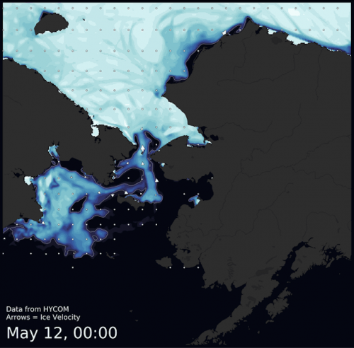 Visit the SIWO Facebook page @seaiceforwalrus to view this animation.