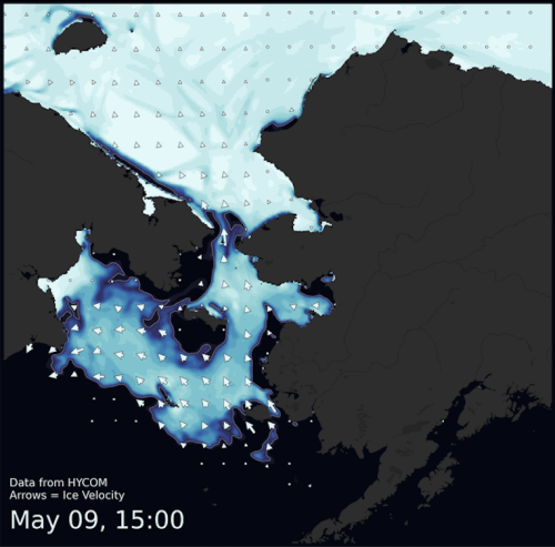 Visit the SIWO Facebook page @seaiceforwalrus to view this animation for 3–11 May 2023.