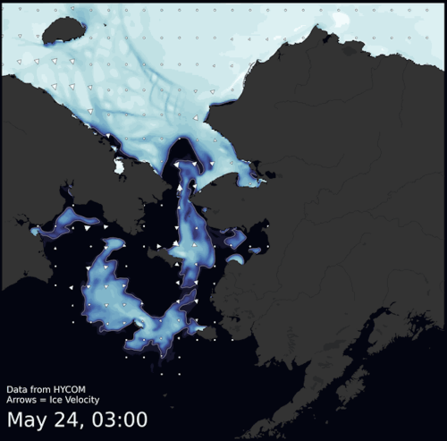 Visit the SIWO Facebook page @seaiceforwalrus to view this animation for 17–25 May 2023.