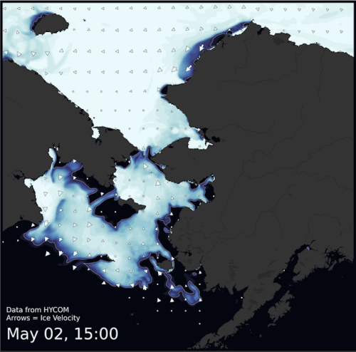 Visit the SIWO Facebook page @seaiceforwalrus to view this animation.