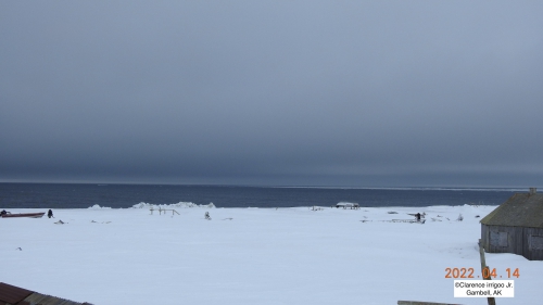 Sea ice and weather conditions in Gambell on Thursday, 14 April.