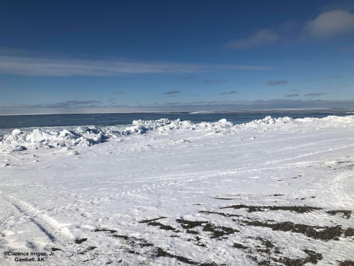 Sea ice and weather conditions in Gambell - view 1.