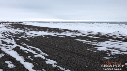 Sea ice conditions at Gambell, Alaska.
