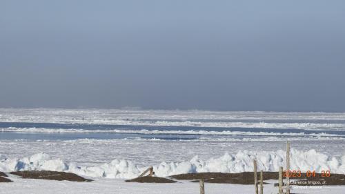 Sea ice and weather conditions in Gambell on 20 April 2023. Photo courtesy of Clarence Irrigoo, Jr.