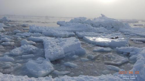 Sea ice conditions in Gambell on 20 April 2023. Photo courtesy of Clarence Irrigoo, Jr.