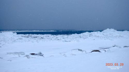 Sea ice and weather conditions near Gambell on 29 March 2023, view 1. Photo courtesy of Clarence Irrigoo, Jr.