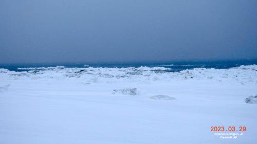 Sea ice and weather conditions near Gambell on 29 March 2023, view 2. Photo courtesy of Clarence Irrigoo, Jr.