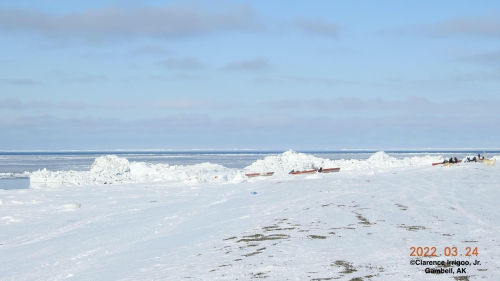 Sea ice and weather conditions in Gambell - view 2.