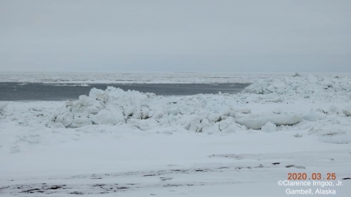 Sea ice conditions at Gambell, Alaska, view 3.