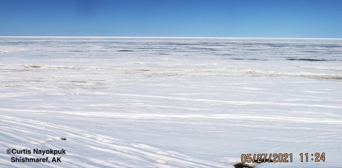 Sea ice and weather conditions in Shishmaref - view 3.