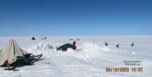 Sea ice and weather conditions in Shishmaref. Photos courtesy of Curtis Nayokpuk.