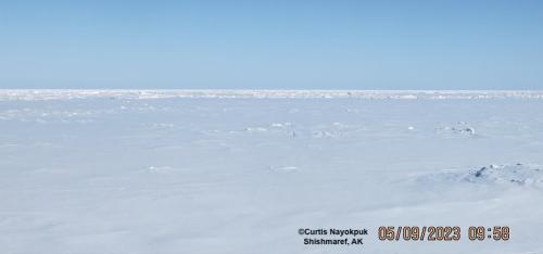 Sea ice and weather conditions in Shishmaref looking north. Photo courtesy of Curtis Nayokpuk.