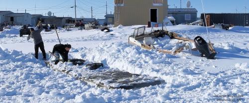 Hunters digging out boats and prepping gear in Shimaref. Photos courtesy of Curtis Nayokpuk.