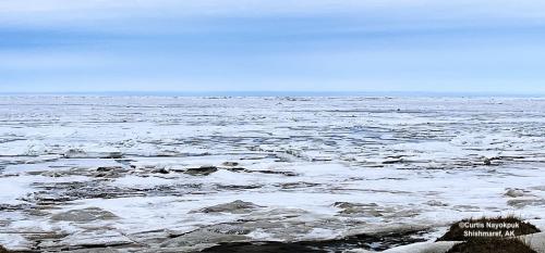 Sea ice and weather conditions in Shishmaref - looking north. Photo courtesy of Curtis Nayokpuk.