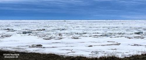 Sea ice and weather conditions in Shishmaref - looking northwest. Photo courtesy of Curtis Nayokpuk.