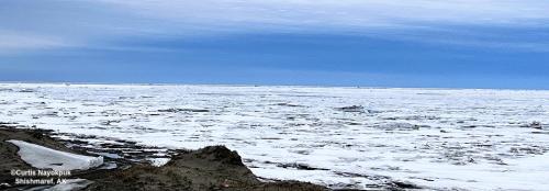 Sea ice and weather conditions in Shishmaref - looking west. Photo courtesy of Curtis Nayokpuk.