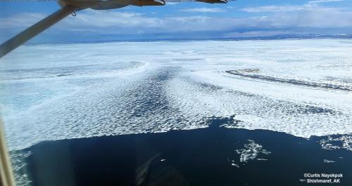 Sea ice and weather conditions in Shishmaref - west channel. Photo courtesy of Curtis Nayokpuk.