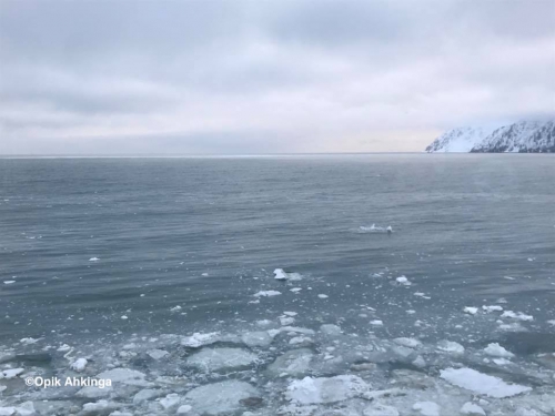 Diomede Ice - view 1