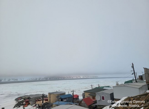 Sea ice conditions in Diomede - view 3.
