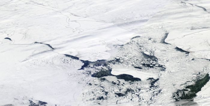 Figure 2: Ice extent at the end of March 2014. 