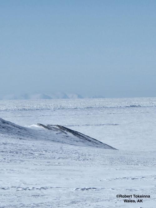 Sea ice and weather conditions in Wales. Photo courtesy of Robert Tokeinna, Jr.