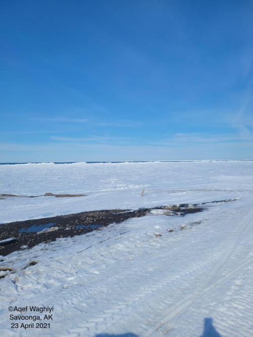 Sea ice and weather conditions in Savoonga - view 1.