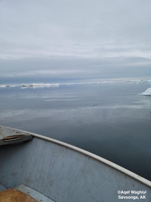 Sea ice and weather conditions in Savoonga - view 4.