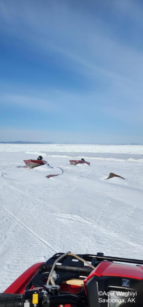 Sea ice and weather conditions in Savoonga - view 1. Photo courtesy of Aqef Waghiyi.
