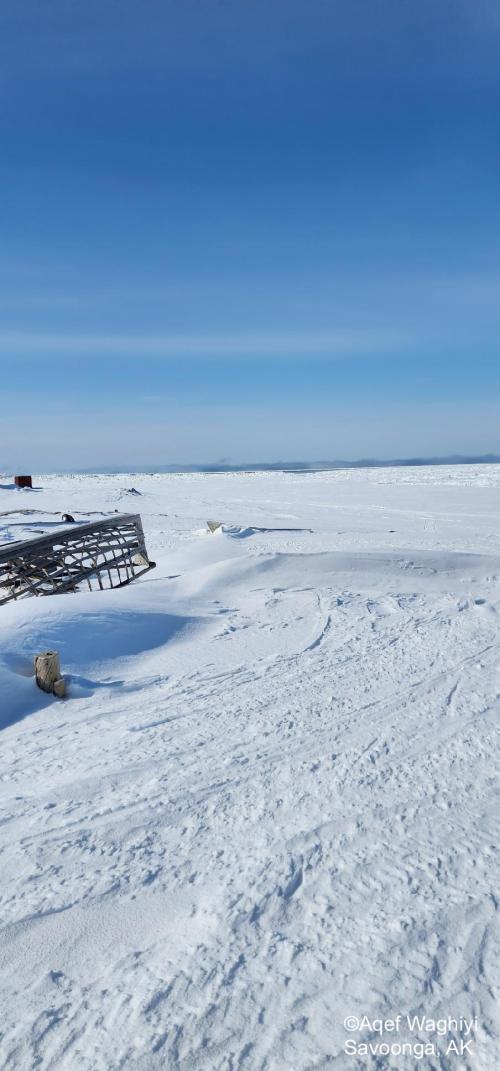 Sea ice and weather conditions in Savoonga - view 2. Photo courtesy of Aqef Waghiyi.