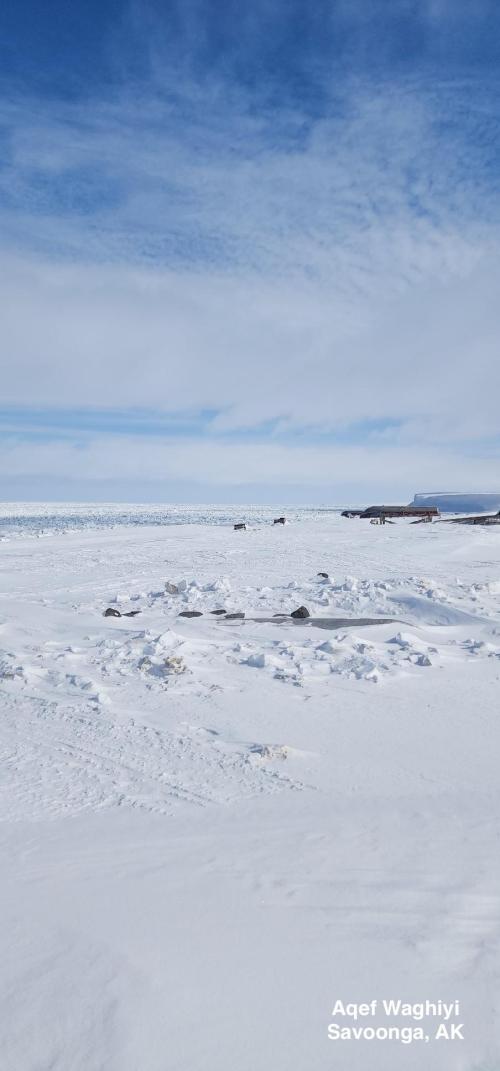 Weather and sea ice conditions in Savoonga - view 1. Photo courtesy of Aqef Waghiyi.