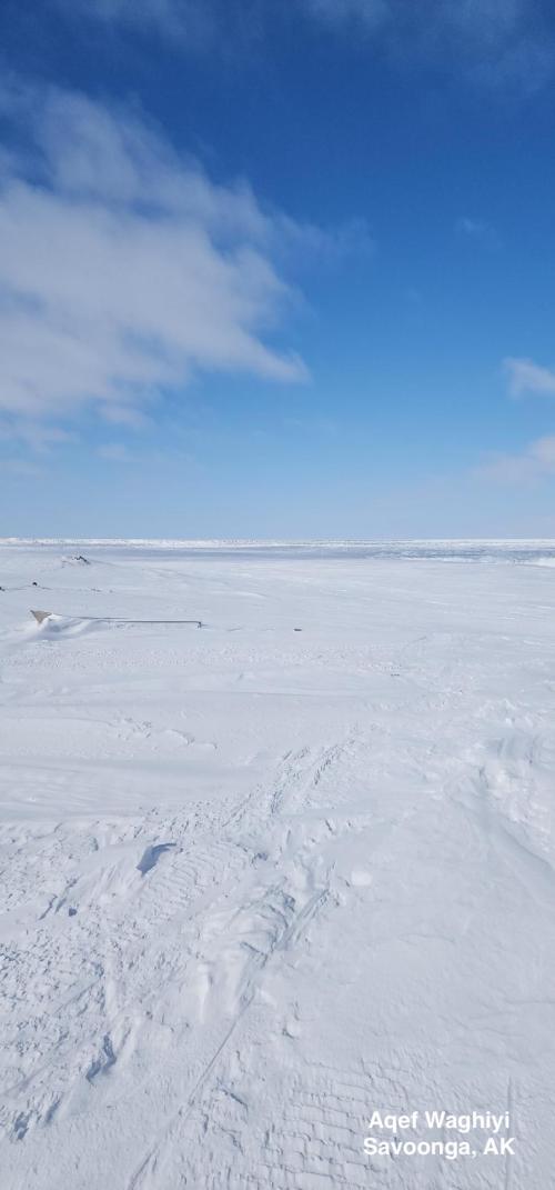 Weather and sea ice conditions in Savoonga - view 3. Photo courtesy of Aqef Waghiyi.