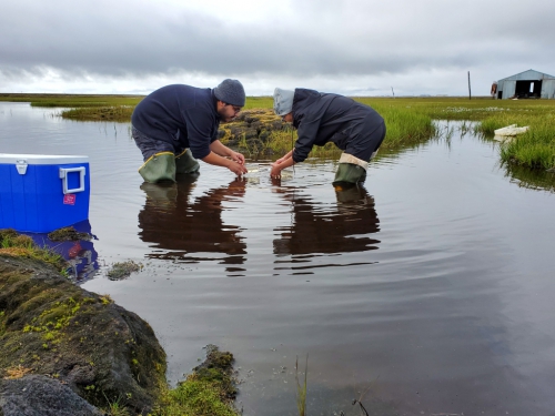 Undergraduate students Chris Sandoval and Paris Velasquez conduct an aquatic chemistry experiment outside of the Barrow Arctic Research Center (BARC). Utqiagvik, Alaska.  Photo by Monica Nuñez (PolarTREC 2019), Courtesy of ARCUS.