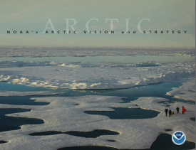 Arctic Vision and Strategy