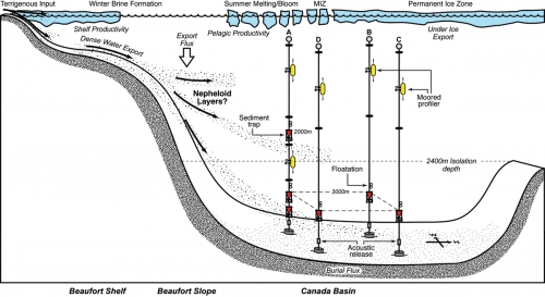 Image courtesy: Kack Cook, WHOI.