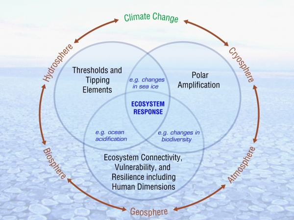 Image courtesy: Frontiers in Understanding Climate Change and Polar Ecosystems