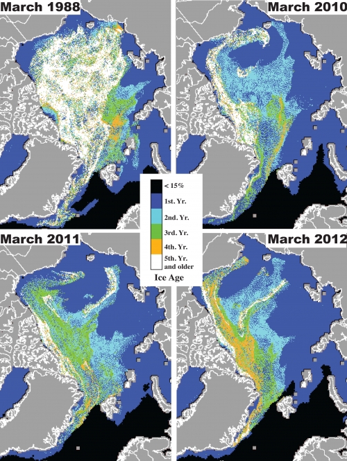 Figure 2, Sea ice composition, multi-year to first-year