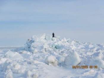 Figure 5. Observation from Billy Adams in Utqiaġvik, Alaska on 1 April 2020: &quot;Location Nunavaaq, temperature 5f, south winds 10 mph, partly cloudy, and visibility to 8 miles. A large area ice near shore of Nunavaaq broke off.&quot; Image courtesy of AAOKH.