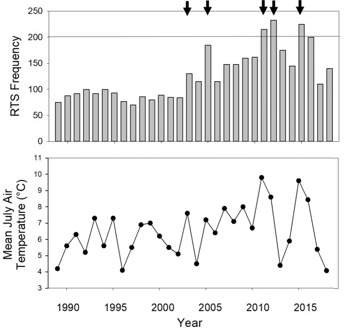 Figure 4. Top graph shows survey counts of active retrogressive thaw slumps during aerial surveys. Arrows point to large increases in slump numbers occurring in 2003, 2005, 2011, 2012 and 2015. Bottom graph shows mean July air temperature (°C). Figure courtesy of Melissa Ward Jones.