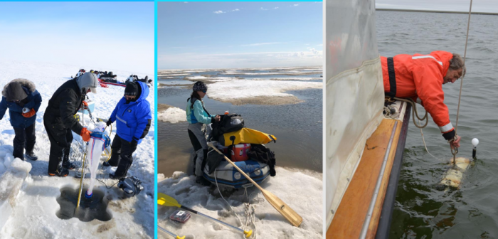 Figure 1: To capture seasonal variability in the lagoons, BLE LTER field work occurs during ice cover (April), ice break-up and high river flow (June), and the open-water summer (August). By sampling and measuring aspects of hydrology, chemistry, biology, and ecology over three seasonal timepoints, our multi-institution program will gain a clearer understanding of how lagoon ecosystems function, and how they might respond to perturbations. From left, photos courtesy of K. Dunton, C. Bonsell, T. Dunton. 