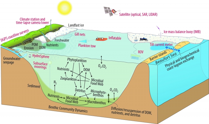 Figure 3: The Beaufort Lagoon Ecosystems Long-Term Ecological Research (BLE LTER) team uses a wide range of tools (labelled red) to study major components of the lagoons (labelled black). Image courtesy of BLE LTER.