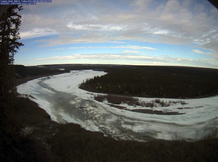 Figure 3. View of the Copper River downstream of the Tazlina River confluence on 21 April 2021. This section of river had some open water during the entire winter and now is starting to break up with warm days of spring. Photo courtesy of the Fresh Eyes on Ice Project.