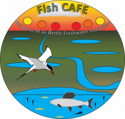 Figure 1. The Fish CAFE Project brings multiple sciences to bear upon understanding freshwater habitats of the Fish Creek Watershed in northern Alaska. Logo design: Ronnie Daanen. Image courtesy of the Fish Creek Watershed Observatory.