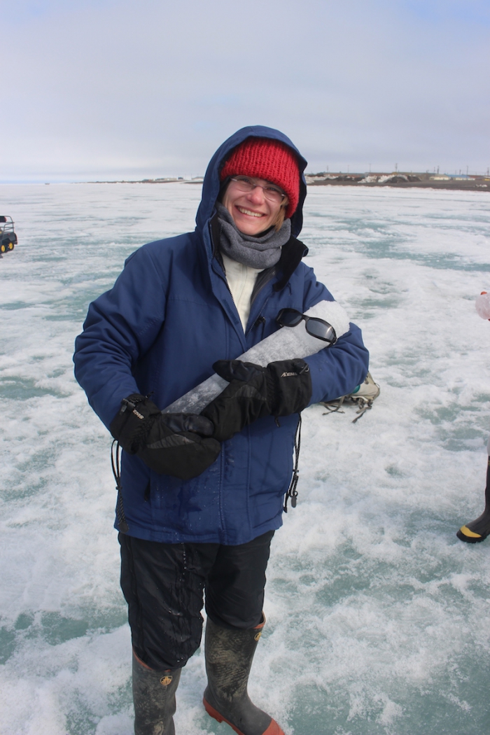 Figure 2: Dr. Elizabeth Hunke nurturing a sea ice column recently extracted from the ice pack near Barrow, Alaska. Photo courtesy of Jennifer Kay. 